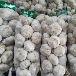 2025 nouveau croup OPTIMUM Chine ail légumes frais Alho ail Ail Frais Ajo prix de gros fournisseur de Chine - Product Image 4