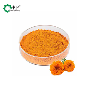 Nhà máy cung cấp 20% Lutein <span class=keywords><strong>Zeaxanthin</strong></span> bột Cúc Vạn Thọ chiết xuất hoa cao cấp Nhà Máy chiết xuất - Product Image 1