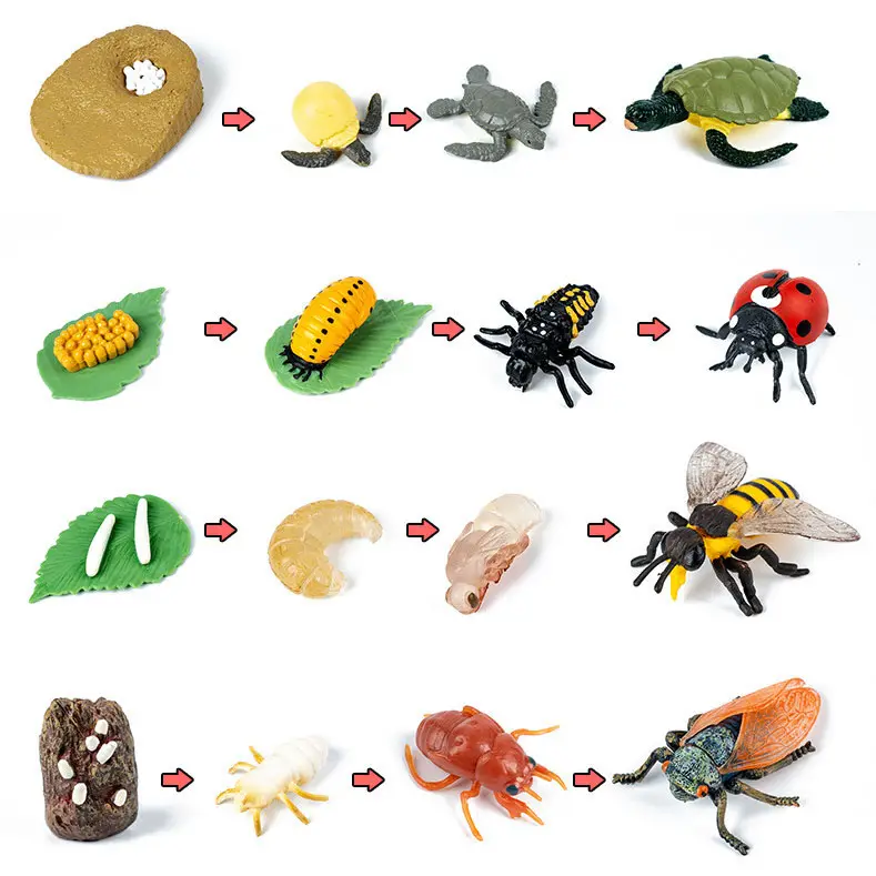 Studenten Wissenschaft Lehre Realistische Insekten & Tiere Modell Kit Kinder Kognitives Wachstum Lebenszyklus Figuren Spielzeug