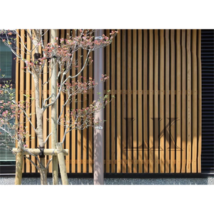 Kiểu dáng đẹp dòng gỗ nhựa composite lưới ngoài trời cho thông gió Kiến Trúc-UV bảo vệ sự riêng tư thân thiện với môi đảm bảo - Product Image 5