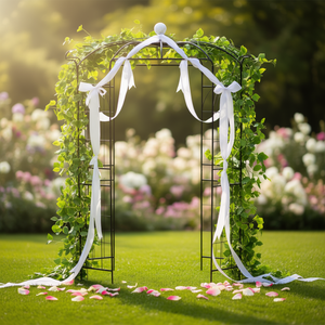 Pérgola Negra en Forma de Jaula de Pájaros para Plantas Trepadoras, Decoración para Ceremonias de Boda y Pabellón - Product Image 2