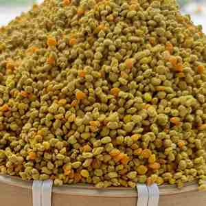 Pólen de Abeja de Colza Mixto de Alta Calidad, Nuevo y Fresco, 100% Puro, Pólen de Abeja Crudo en Polvo, Venta al por Mayor a Granel - Product Image 1