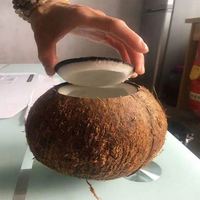 Ligne complète de production laitière, machine à décortiquer les noix de coco à coque dure, broyeur et éliminateur de coques de noix de coco