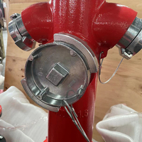 Tuyau de support de borne d'incendie de type pilier au sol Ca-Fire DN100 borne d'incendie française extérieure