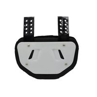 YOUNGSON Nouveau produit Casque de gardien de but de hockey sur glace avec plaque dorsale chromée personnalisable (couleur/logo) pour joueurs de football américain, doublure ABS EVA