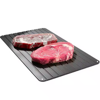 2025 plaque de dégivrage rapide en aluminium personnalisée de qualité alimentaire Steak planche à viande congelée pour produit de cuisine