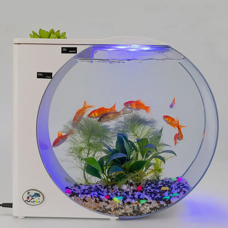 2022 Das neueste angekommene Acryl Fabulous Design Abgerundete Quallen Aquarium Zur Anzeige Buntes Quallen Aquarium LED-Licht