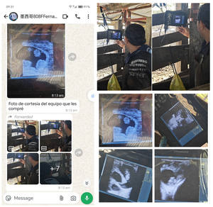 Escáner de Ultrasonido Veterinario Médico con Certificación CE, Máquina de Ultrasonido Portátil para Perros y Gatos - Product Image 6