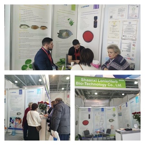 Lonierherb 3,3ไดอินโดลอิลมีเทนผงสลัวไดอินโดลอิลมีเทน1968-05-4 - Product Image 3