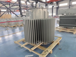 Bobina Toroidal de 750 kVA 13.2 kV Li0 con Bobinado de Aluminio y Cobre, Monofásica, Sumergida en Aceite, ISO CE 220V 50/60Hz D-M, Capacidad de 50 kVA - Product Image 2
