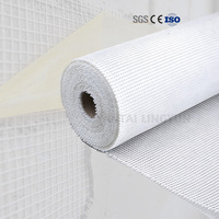 Rete in Fibra di Vetro Rivestita in Platino Resistente agli Alcali, Tessuto in Fibra di Vetro per Facciate Esterne di Edifici