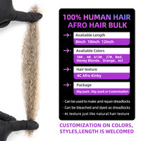 Cheveux humains brésiliens gris 30g vierges Remy Afro Kinky en vrac pour la création et la réparation de locs – Prix fournisseur BLT
