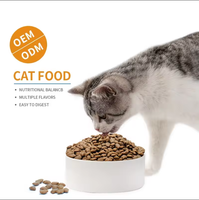 Nourriture sèche pour chats de haute qualité, nutrition équilibrée, croquettes sèches pour animaux de compagnie, pour chats de tous âges