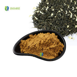 Poudre de thé au <span class=keywords><strong>jasmin</strong></span> de qualité alimentaire 99% Extrait de thé vert au <span class=keywords><strong>jasmin</strong></span> en poudre soluble dans l'eau - Product Image 3