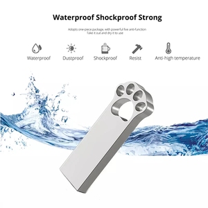 Memoria USB Metálica con Diseño de Pata de Gato, 1GB 2GB 4GB 8GB 2.0 Mini, 16GB 32GB 64GB 3.0, con Grabado Láser Gratuito - Product Image 4
