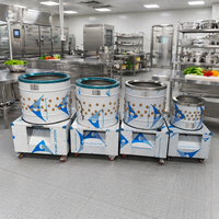 Machine à plumer les volailles en acier inoxydable pour poulets, canards, oies, cailles, pigeons – Équipement agricole pour petites exploitations