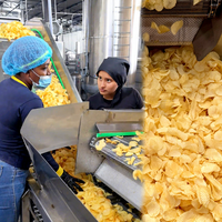 3000kg/h Fully Automatic Potato Chips Crisps Making Processing Machinery Frozen French Fries Production Line