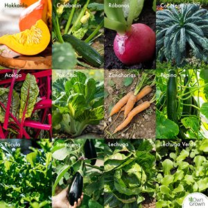 Kit de 12 variétés de graines de légumes, ensemble de graines de légumes pour planter en pot - Plantes cultivées en maison, tomates - Product Image 5