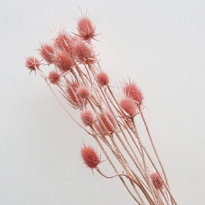 Yunnan Usine Pas Cher Fleur Séchée Fleurs Artificielles <span class=keywords><strong>Chardon</strong></span> pour Mariage - Product Image 3