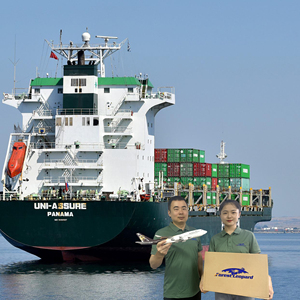 Дешевые тарифы на доставку морских экспедитора в Шэньчжэне Экспресс dhl курьерская доставка Китай в Великобританию/Италию/Франция/США/Канаду - Product Image 2