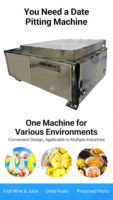 Fabriekslevering 1500W Dubbelbaans Dubbelrail 304 RVS Dadelontpitter voor Fruit en Groenten 220V/380V