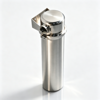 Filtre à eau manuel à grand débit en acier inoxydable 304 pour usage domestique, étang, agriculture, piscine et traitement de l'eau de puits