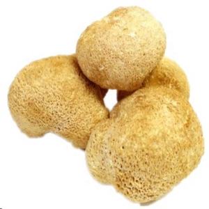 Sıcak satış ab ve USDA standart organik sertifikalı aslanlar yele özü tozu organik aslan yelesi özü - Product Image 2