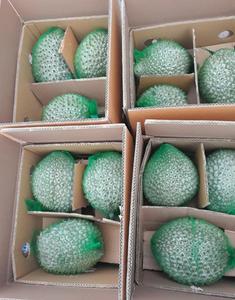 100% orgánica congelada DURIAN/ - Product Image 5