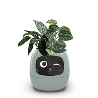 Pot de fleur automatique absorbant l'eau capteur AI Pot de fleurs numérique pour animaux de compagnie en plastique Mini Pot de plante bureau Intelligent planteur intelligent