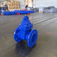 Vanne à opercule à joint souple en fonte ductile à commande manuelle PN10/PN16 basse température pour l'eau 2 pouces