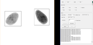 442 Máy quét dấu vân tay FBI cấp giấy chứng nhận sinh trắc học USB Mười Máy quét dấu vân tay fap60 thiết bị tham dự với phần mềm miễn phí - Product Image 6