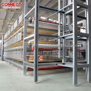 50000 עוף גדול של עופות עופות בקנה מידה גדול ששפך מערכת חוות תרנגולות חדשה לגידול וגידול ציוד גידול גידול - Product Image 1