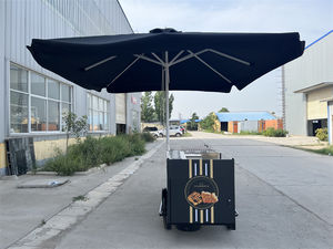 Ce Goedgekeurde 3-wiel Bakfiets Met Vriezer Voedsel Automaat Karren Te Koop Ijs Elektrische Driewieler Aangepaste Logo - Product Image 6