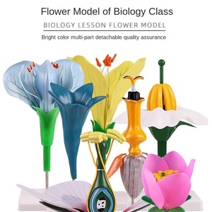 نموذج تشريحي مكبر لأجزاء داخلية للزهور: أسدية، بتلات، زهرة عباد الشمس، زهرة التفاح، زهرة اللفت، مصنوع من البلاستيك - Product Image 3