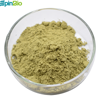 Poudre de jus de feuilles de betterave naturelle/poudre de feuilles de betterave