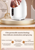Dispositivo de hidratación de la piel para el hogar SPA facial Máquina de vapor facial portátil caliente y fría 2 en 1 Nano Ionic Steam