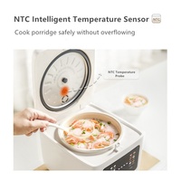 Ankale 2L Portable Mini cuiseur à riz électrique intelligent électrique 400W cuiseur à soupe antiadhésif pot de revêtement en céramique pour le ménage