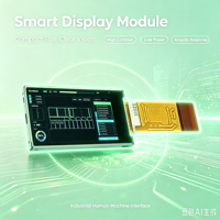 Module LCD TFT IPS portable intelligent et pratique de petite taille personnalisé pour usage industriel léger, résolution 80x160 320