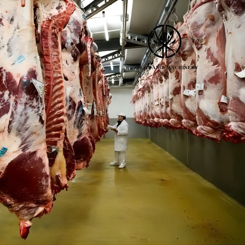 Halal Lò mổ thiết bị gia súc butcher công cụ carcass lạnh theo dõi bò giết mổ tuyệt đẹp máy móc dòng