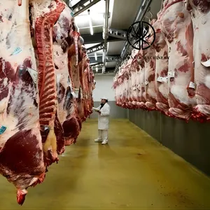 Perlengkapan Abattoir Halal alat Butcher ternak jalur kulkas pemotongan sapi garis mesin yang menakjubkan