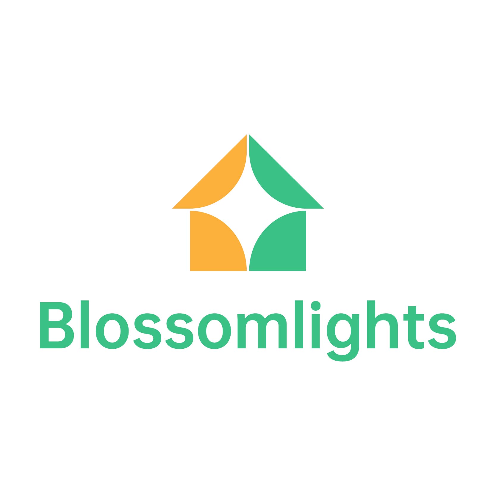 Zhongshan Blossom Lights Co., Ltd. logo