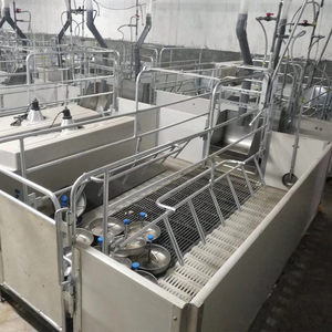 Soluciones Completas para Parideras: Jaulas, Acolchado y Equipamiento para Cerdas - Product Image 5