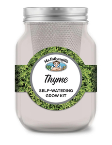 Kit de culture en bocal en verre moderne à faible entretien, auto-arrosant, pour le thym, pour le rebord de fenêtre et le jardin <span class=keywords><strong>d</strong></span>'herbes aromatiques au sol, cadeau - Product Image 2