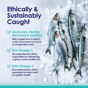 Grosir 180 Kapsul Omega 3 ikan minyak cair perawatan kesehatan hewan peliharaan & suplemen untuk hewan peliharaan - Product Image 3