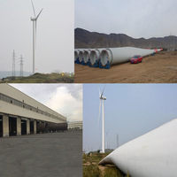Système de générateur éolien de 500 kW de taille moyenne pour grandes pâturages avec tour indépendante de 42 m