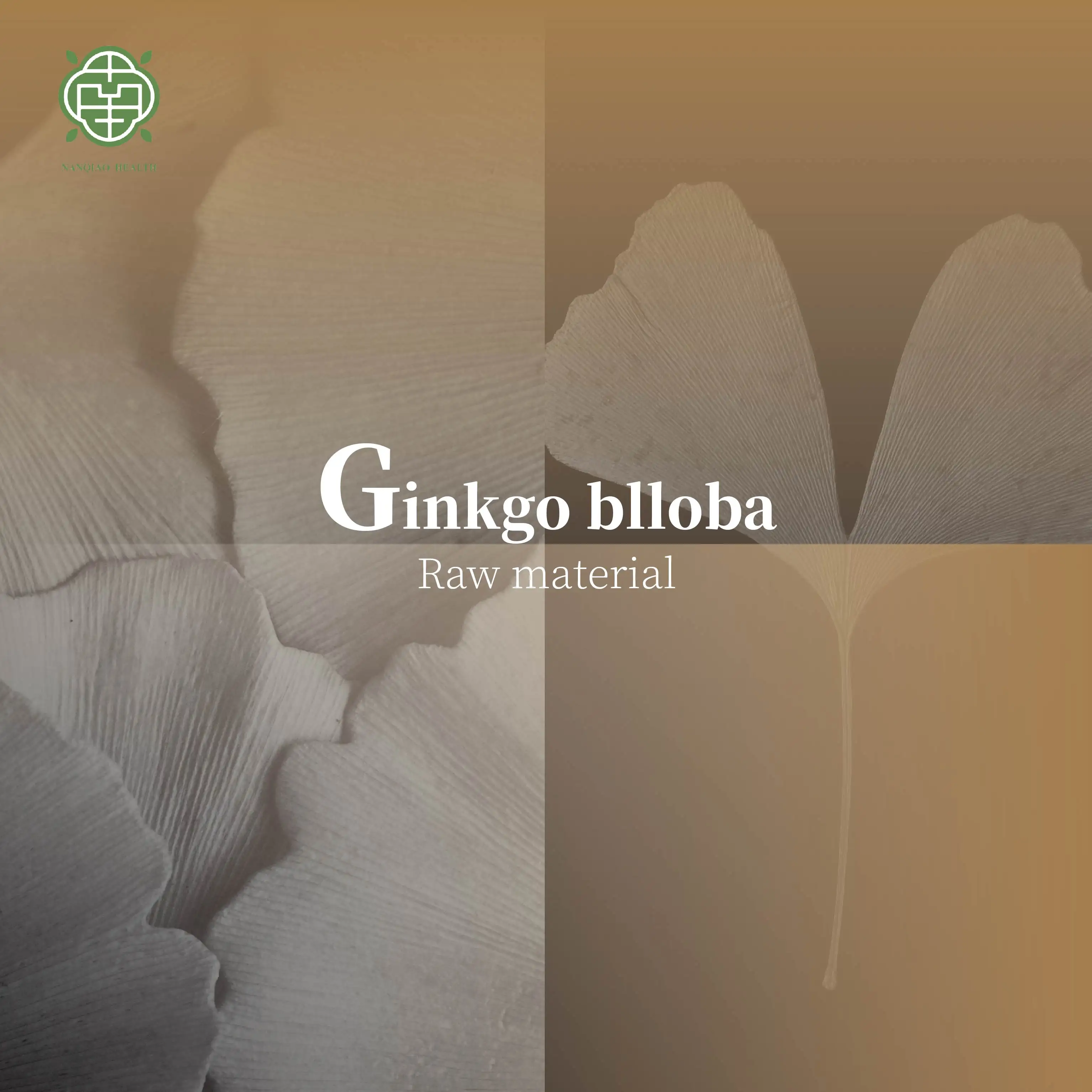 مسحوق أوراق جينكو بيبولا لصحة النقانق من Nanqiao كأس 90045-36-6 مستخلص نباتي طبيعي من الجينكو بيبولا بدرجة أدوية للطعام