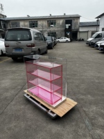 Meja Penyimpanan Akrilik Transparan 3 Tingkat Rak Gradasi Pink dengan Alas Logam Lemari Pajangan untuk Dekorasi Ruang Tamu dan Pintu Masuk
