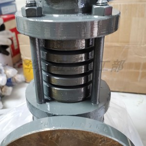 Válvula de Seguridad de Resorte Tsga A40Y 16C, Brida de 40 mm, para Aire/Aceite, Alta Temperatura, 1.6Mpa - Product Image 2