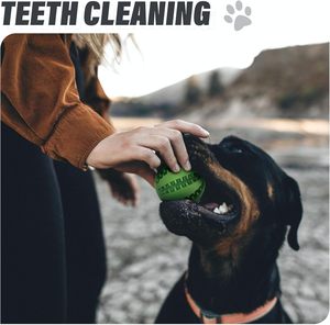 2026 Fabrieksgemaakte BPA-vrije natuurlijke rubberen stevige duurzame interactieve kauwbal voor honden voor agressieve kauwers - Product Image 6