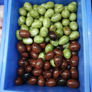 Toptan doğal obsidian yumurta/aks seks/kegel yoni yumurta kadınlar için komik seks görüntü şakalar - Product Image 6